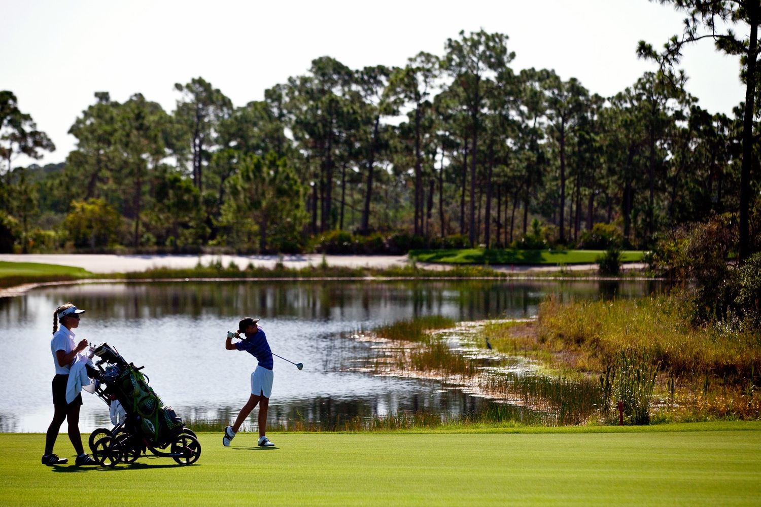 Collier Park GC Review